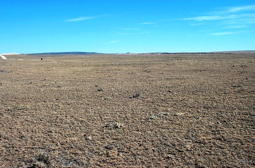 ESTANCIA VALLEY RANCHETTES land for sale